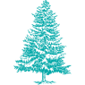 Елки