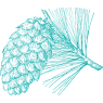 Лапник